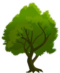 Trees