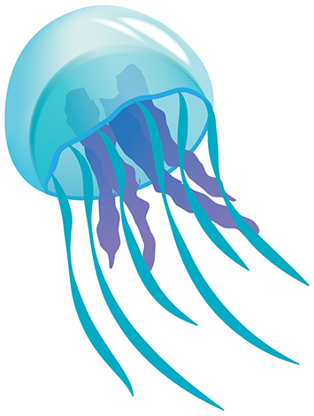Jellyfish Clip Art - Tumundografico