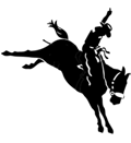 bucking_horse_action.gif