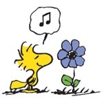 Peanuts | Snoopy, Charlie Brown and Woodstock
