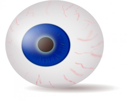 Blue Eye Iris clip art Vector clip art - Free vector for free download