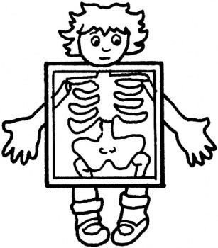 Cartoon x ray clipart free