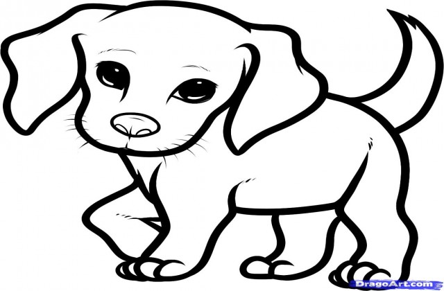 Tag For Cute puppies pictures to draw - Litle Pups