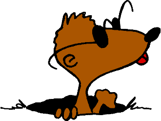Mole Animal Cartoon - ClipArt Best