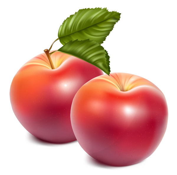 Apple clip art Free Vector / 4Vector