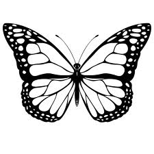 Butterfly Drawings In Pencil - ClipArt Best