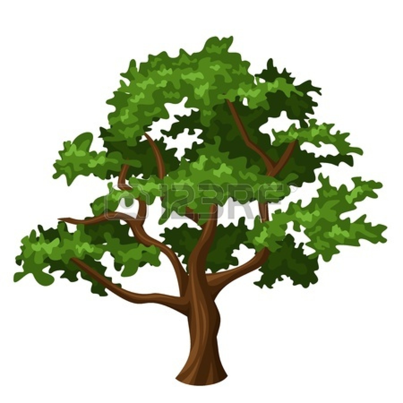 Oak Tree With Roots Clipart