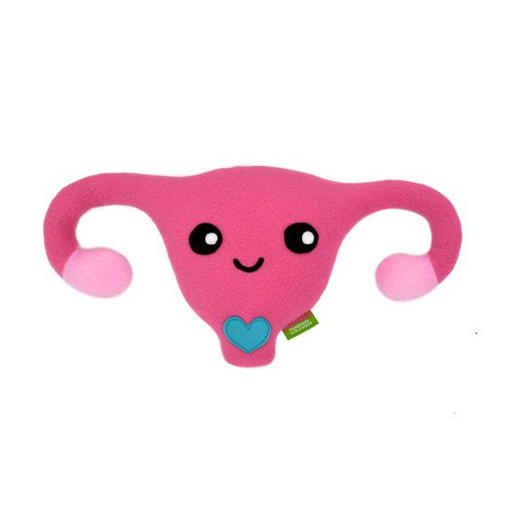Female Reproductive System ...