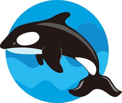 Whale Clip Art | whale04 - Vergilis Clipart
