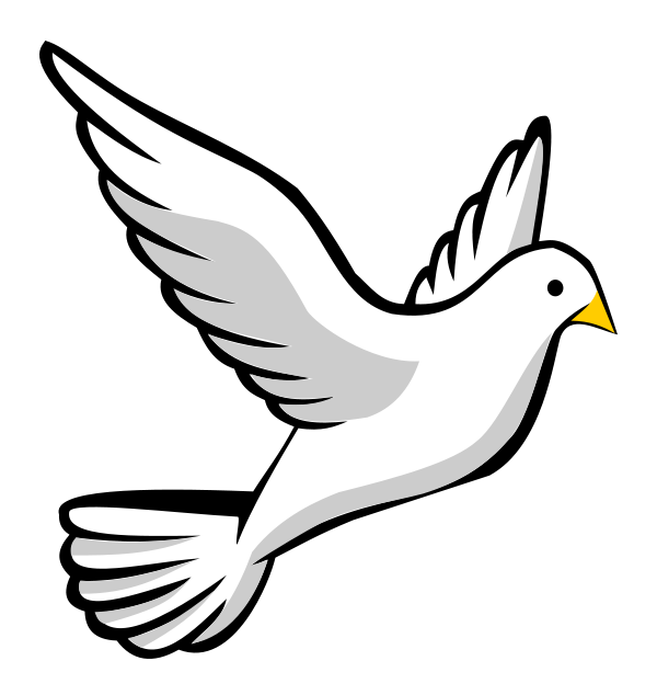 White Dove Free Clipart