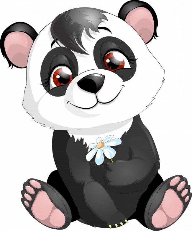 1000+ images about Pandas