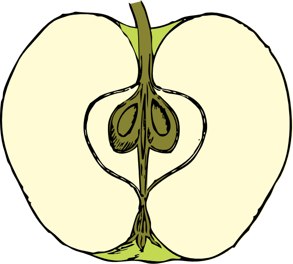 Apple Clip Art - vector clip art online, royalty free ...