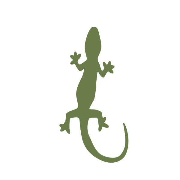 Gecko painting | Etsy