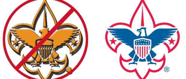 Official BSA colors and logos