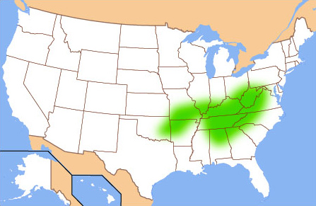 Upland South