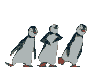 Bishop Martin C.E. Primary School - Skelmersdale | Year 3 - Penguins