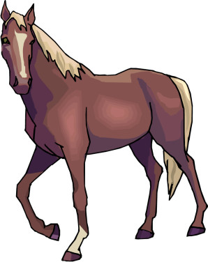 The SCC Challenge : Horsing Around at SCC – Equine Class a Popular ...