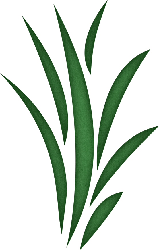 Seaweed Clipart - ClipArt Best