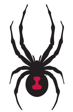 Vinyls, Black widow and Vinyl decals
