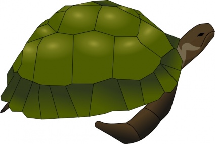 Turtle With Glasses Cartoon