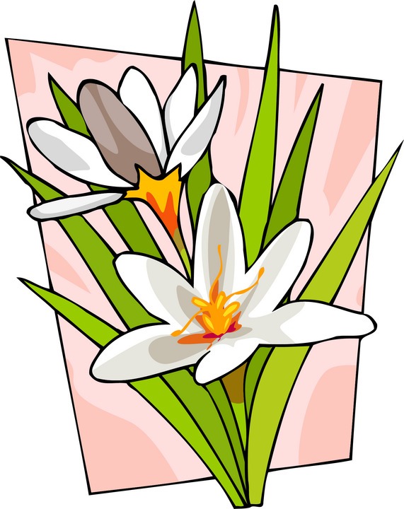 ArtbyJean - Paper Crafts: Pretty little flower clip art prints
