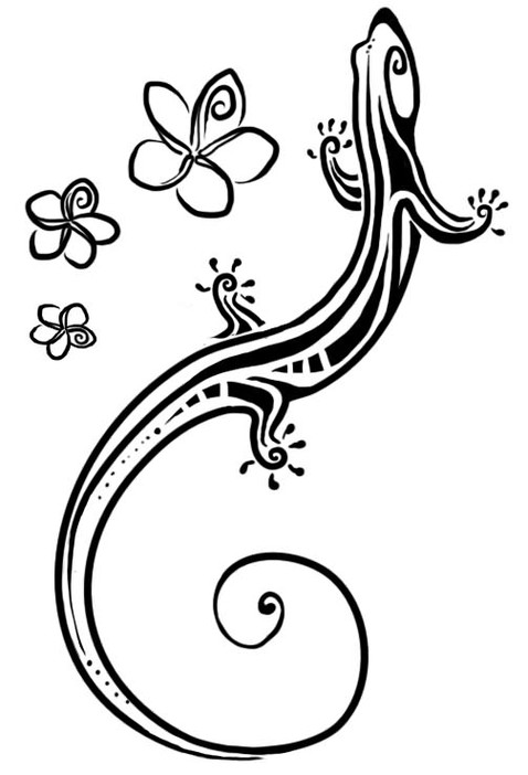 Lizard Drawing Template HD Image 1407x825 For Gadget Background ...