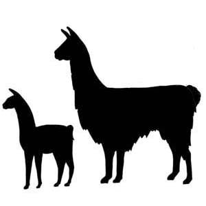 Animals llama animal outline classroom clipart image #20466