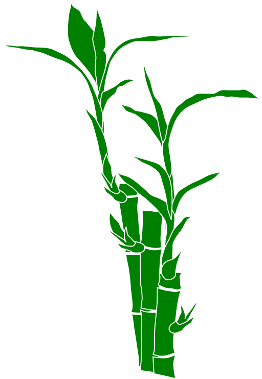 Bamboo clipart png