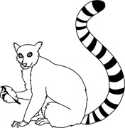 Search Results - Search Results for lemur Pictures - Graphics ...