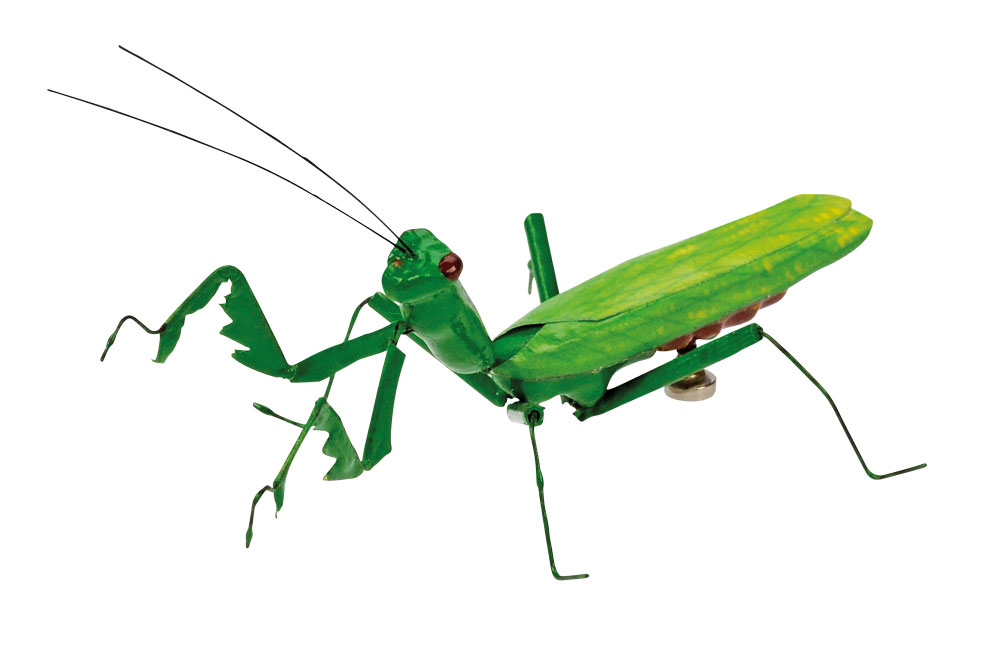 cricket clip art | Hostted