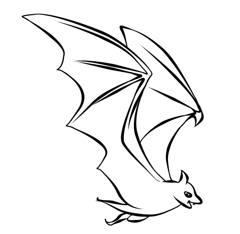 Bat Line Drawing - ClipArt Best