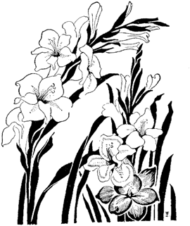 Easy Flower Drawing In Pencil - ClipArt Best