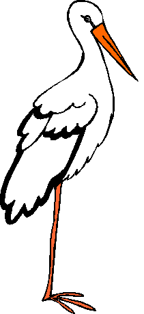 Stork Pic - ClipArt Best