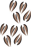 Coffee Images & Coffee Graphics - MustHaveMenus | Page 2