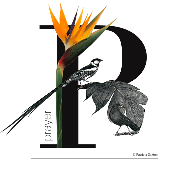 A Plethora of P's | saxton studio blog