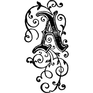 Clipart - Polyvore