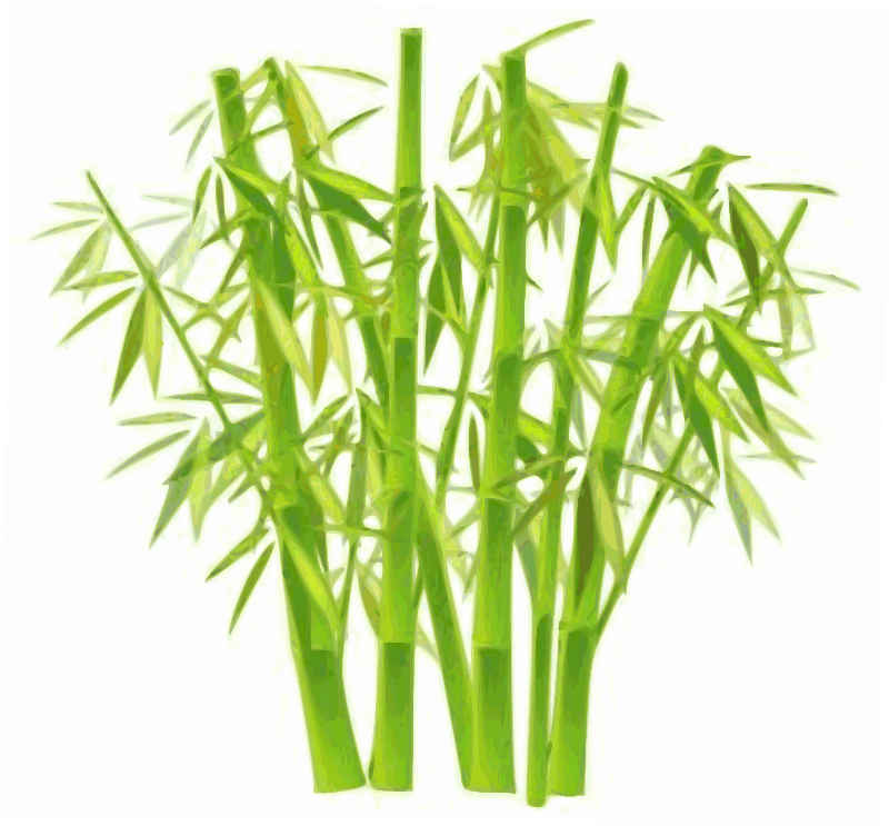 Clipart - Bamboo