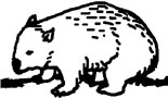 Grade 3 Mammals