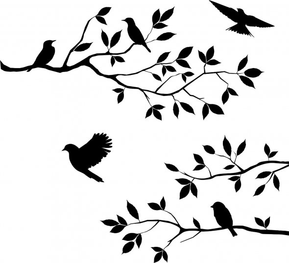 Tree Branch Image