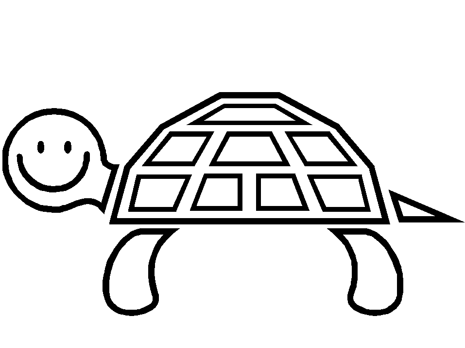 Turtles Coloring Pages