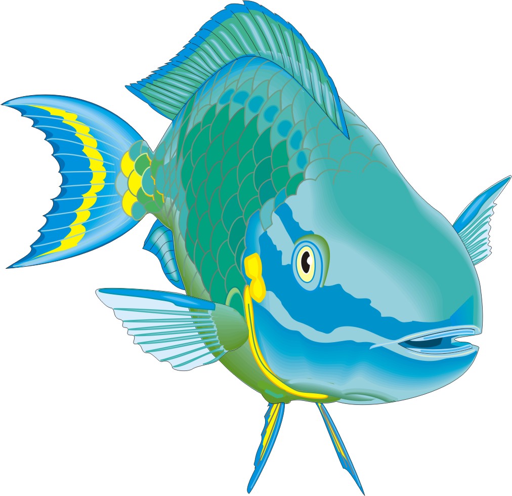 cartoon fish clipart