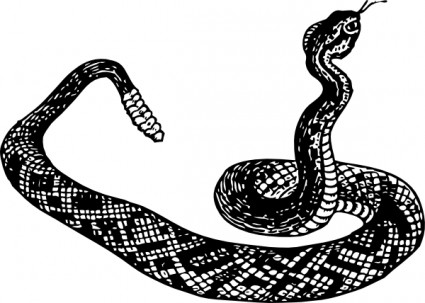 Rattle Snake clip art Free vector in Open office drawing svg ...