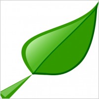 Palm leaves clip art Free vector for free download (about 5 files).