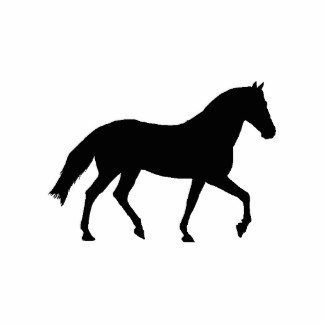 Black Horse Photo Statuettes, Cutouts & Sculptures | Zazzle