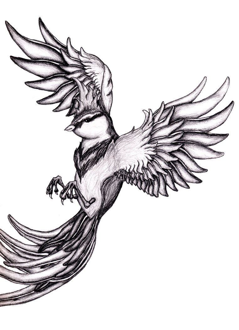 Flying Bird Drawing