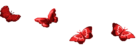Red Butterflies Flying Free - butterflies Photo | Butterfly's ...
