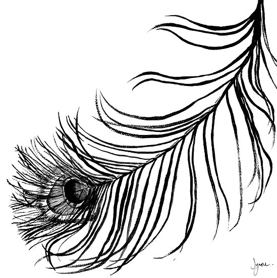 PEACOCK BIRD FEATHER" by wolfandbird | Redbubble