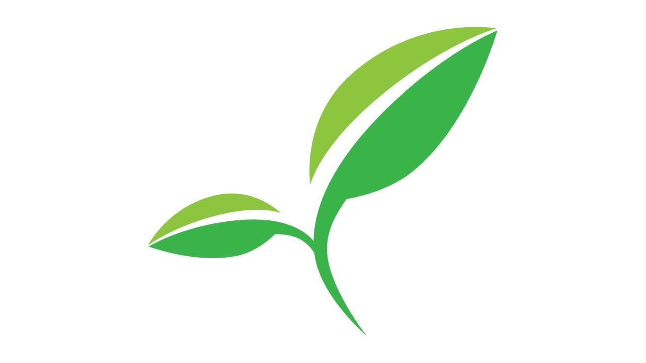 Tutorial Illustrator | How to make leaf - YouTube