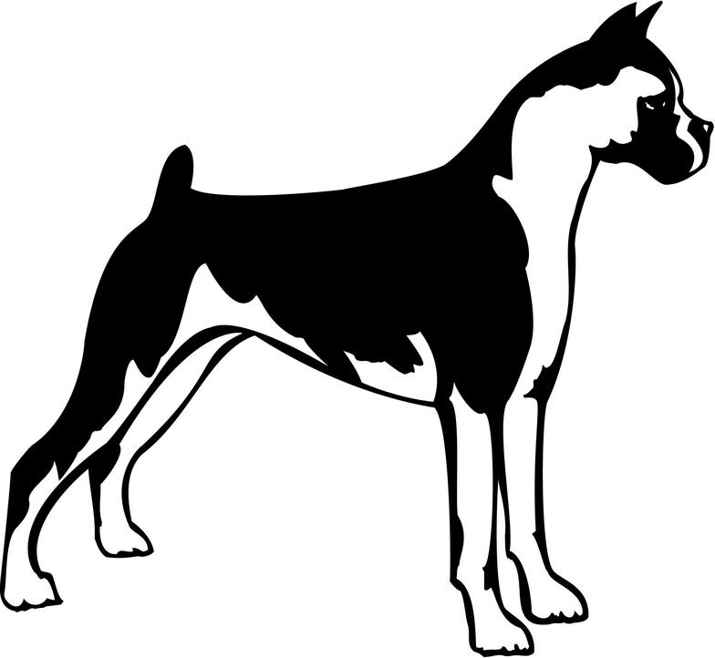 Boxer dog vinyl graphic clipart