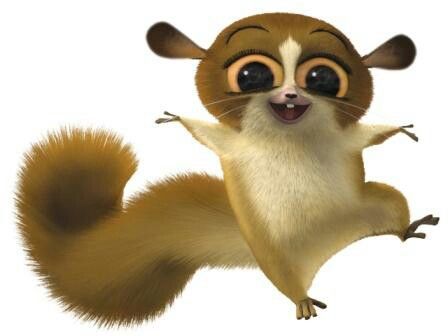 1000+ images about Live: Lemurs